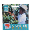 Coffee Seeds