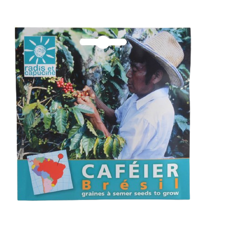 Coffee Seeds