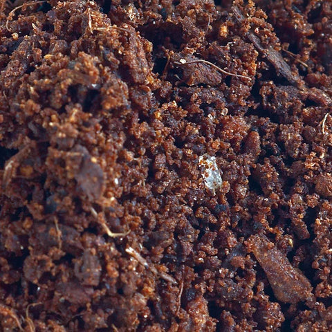 Coconut peat for plants and bonsai 1.5 kg