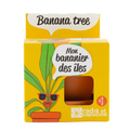 SET - Banana growing container, for children