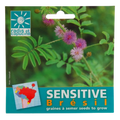 Sjemenke Mimosa pudica