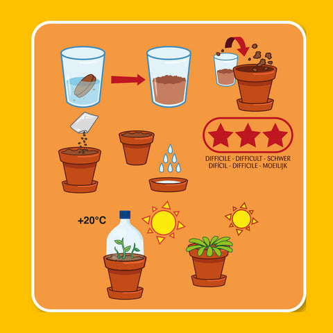SET - Container for growing Carnivorous plants