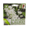Wild garlic seeds
