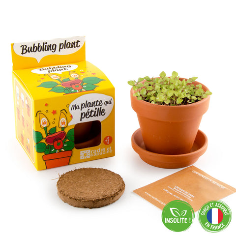 SET - Bubbling plant growing container, for children