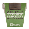 SET - Lavender growing container