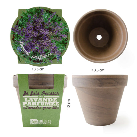 SET - Lavender growing container
