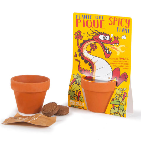 SET - Cayenne pepper seed growing container for children