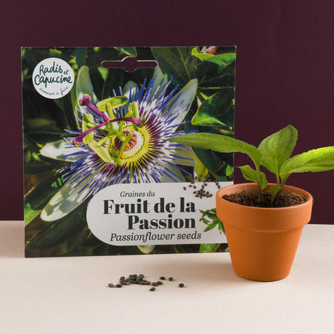 Passionflower seeds
