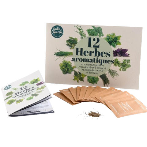 SET - Aromatic herb seeds 12x variety