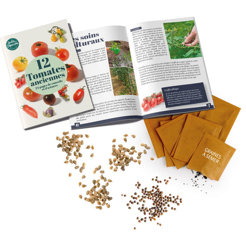 SET - Tomato seeds 12x variety