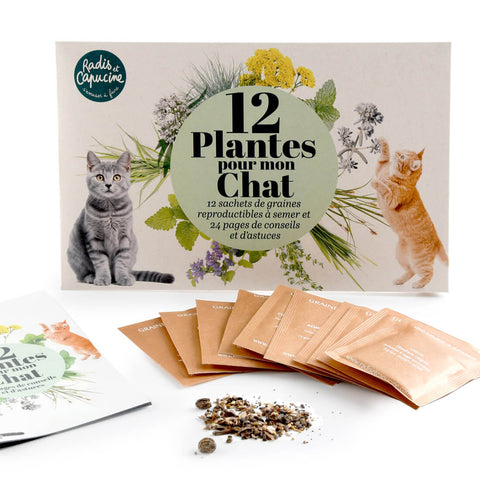 SET - Catnip seeds 12x assortment