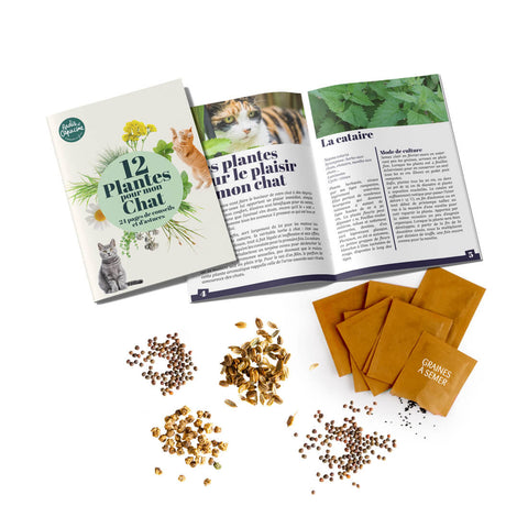 SET - Catnip seeds 12x assortment