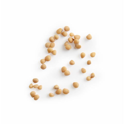 Fig Seeds