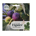 Fig Seeds