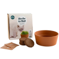 SET - Growing catnip