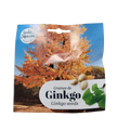 Ginkgo Biloba Seeds