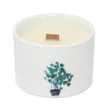 Scented candle botanical, Japanese garden, medium