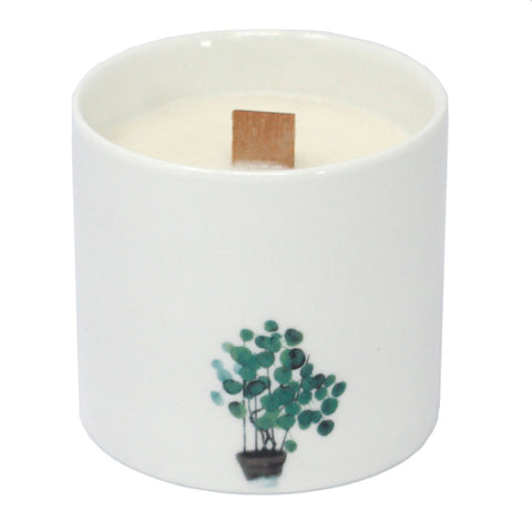 Scented candle botanical, Wild jasmine, large