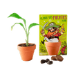SET - Banana growing container, for children