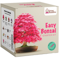 SET - Bonsai, growing 4 types of plants + 2 free seeds