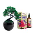 SET - Bonsai Pinus & Bonsai fertilizer with probiotics