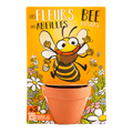 SET - Growing container with bee flower seeds