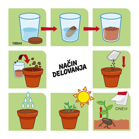 SET - Growing container with bee flower seeds