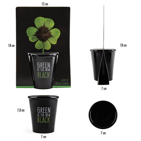 SET - Black pot with 4-leaf clover seeds