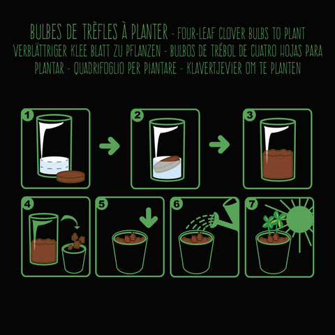 SET - Black pot with 4-leaf clover seeds