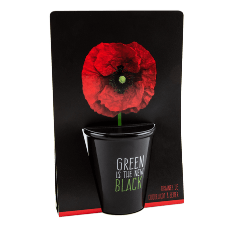 SET - Black pot with poppy seeds