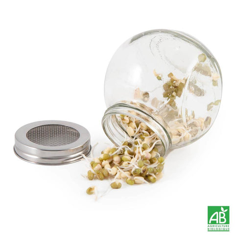 SET - Germination container for preparing sprouts with organic seeds, 2 types