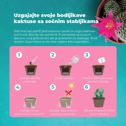 SET - Cactus, growing 15 different types of cacti