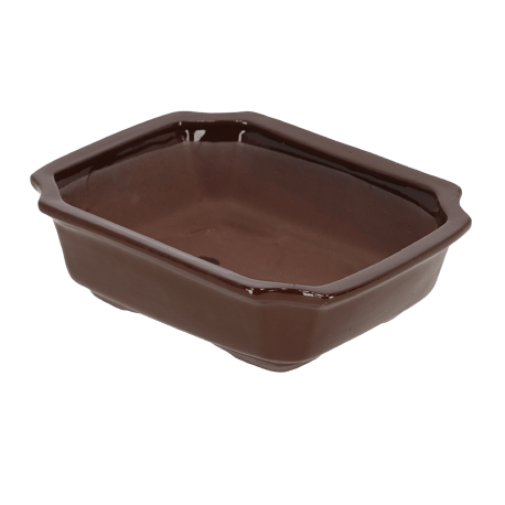 Bonsai pot with base