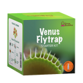 SET - Venus Flytrap, for beginners