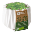SET - Origami pot for planting organic basil
