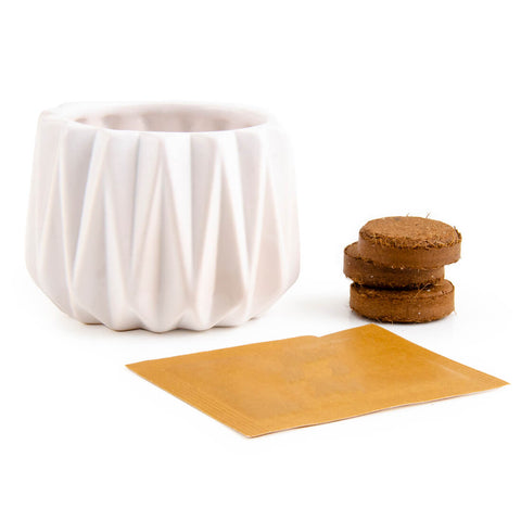 SET - Origami pot for planting organic basil
