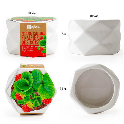 SET - Origami strawberry planting pot