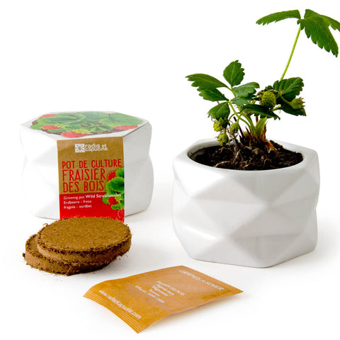 SET - Origami strawberry planting pot