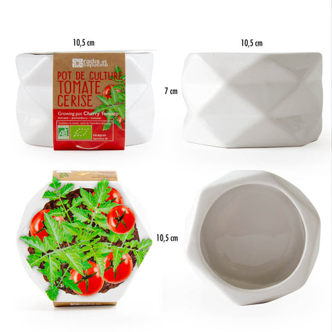 SET - Origami pot for planting ECO cherry tomatoes