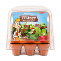 SET - Mini greenhouse for growing strawberries, for children