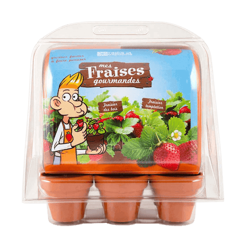 SET - Mini greenhouse for growing strawberries, for children