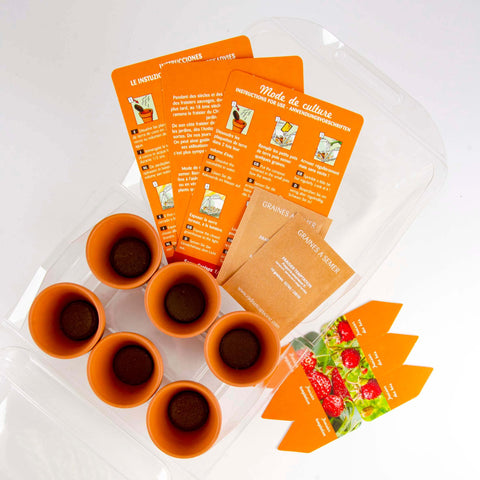 SET - Mini greenhouse for growing strawberries, for children