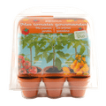SET - Mini greenhouse for growing tomatoes, for children
