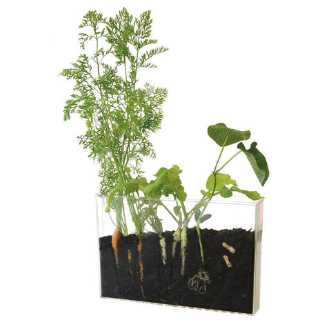 SET - Terrarium for observing roots and earthworms, for children