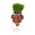 SET - Fantasy grass head Mr. Green, for children and beginners