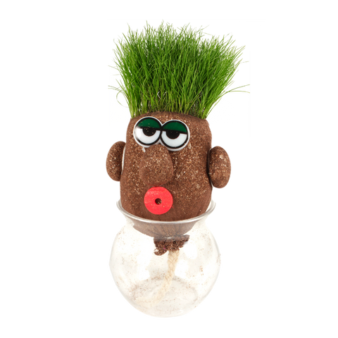 SET - Fantasy grass head Mr. Green, for children and beginners