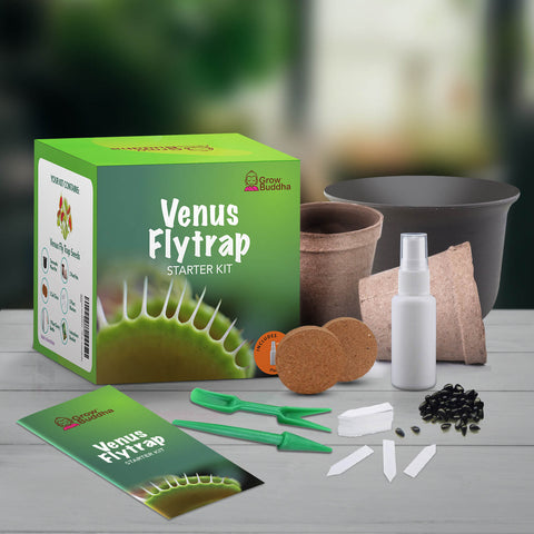 SET - Venus Flytrap, for beginners