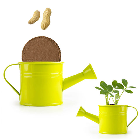 SET - Mini bucket with peanut seeds