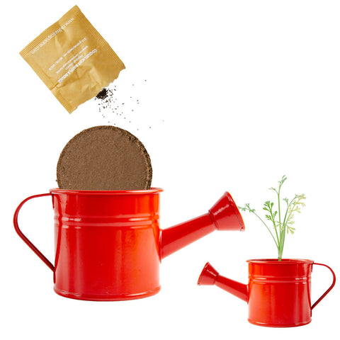 SET - Mini bucket with poppy seeds