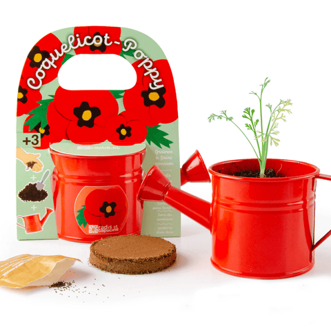 SET - Mini bucket with poppy seeds